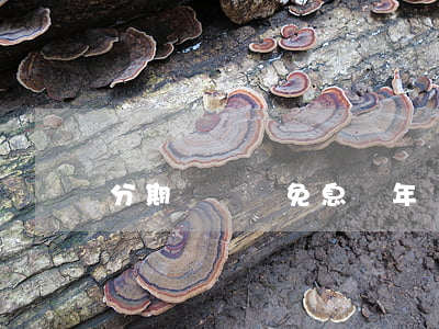 分期買邁騰免息幾年