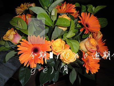 分期貸1000逾期(分期貸款逾期了一個(gè)月)