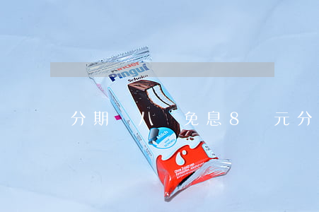 分期貸八萬免息(8萬元分期付款)