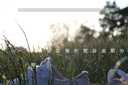 分期貸款做的整容逾期(分期貸款做的整容逾期)