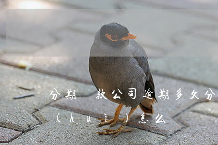 分期貸款公司逾期多久(分期付款逾期幾天會(huì)怎么樣)