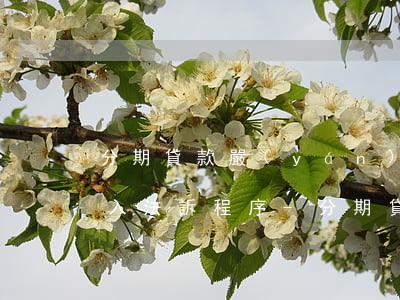 分期貸款嚴(yán)重逾期 進(jìn)入法訴程序-分期貸款嚴(yán)重逾期 進(jìn)入法訴程序嗎