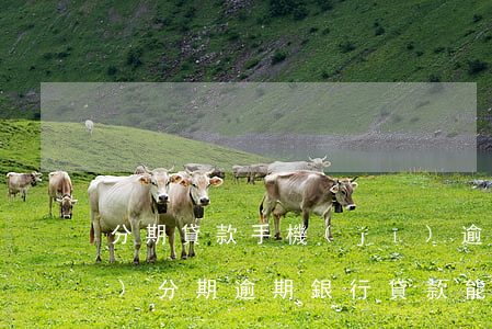 分期貸款手機(jī)逾期沒還(手機(jī)分期逾期銀行貸款能貸嗎)