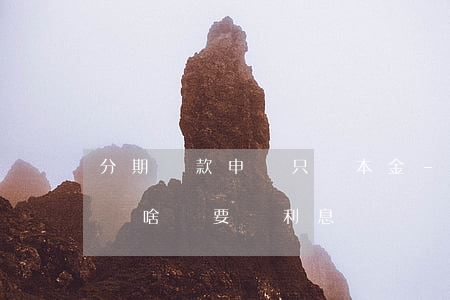 分期貸款申請只還本金-分期還款本金還了為啥還要還利息