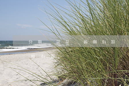 分期貸款花唄逾期有影響嗎(分期貸款花唄逾期有影響嗎)