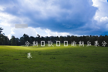 分期貸款買車逾期后果(分期貸款買車逾期后果)