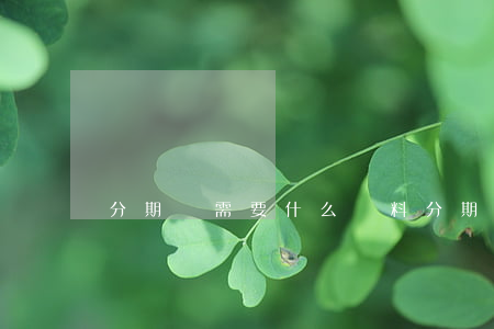 分期貸需要什么資料(分期貸需要什么資料)