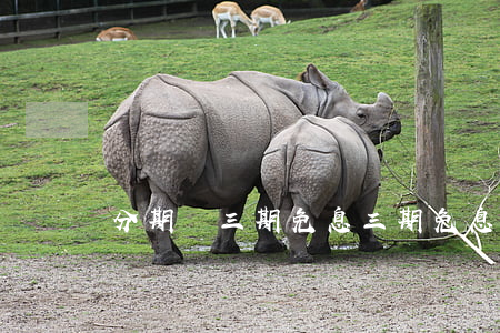 分期購三期免息(三期免息是怎么分的)