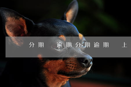 分期購逾期(分期逾期會上門催收嗎)