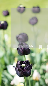 分期超過逾期
