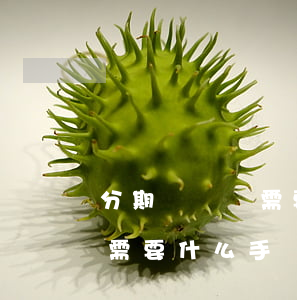 分期車審車需要什么手續(xù)(買車分期需要什么手續(xù)和條件)