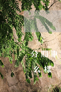 分期車抵押貸款逾期了(分期車貸款逾期會怎么樣)