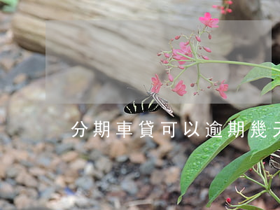 分期車貸可以逾期幾天