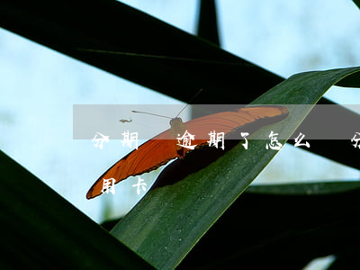 分期車逾期了怎么辦(分期車逾期了怎么辦信用卡)
