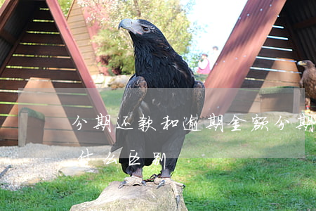 分期还款和逾期金额(分期还款和逾期还款有什么区别)