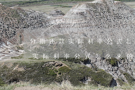 分期还款实际利率公式怎么来的-分期还款实际利率公式怎么来的啊