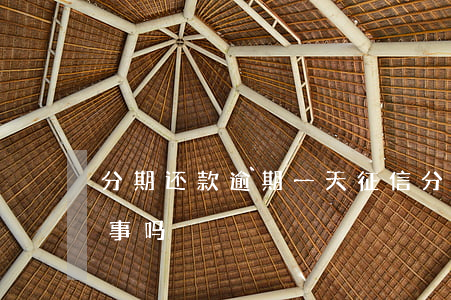 分期还款逾期一天征信(分期还款逾期一月有事吗)