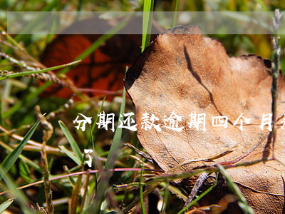 分期还款逾期四个月(来分期逾期3天后还款了)
