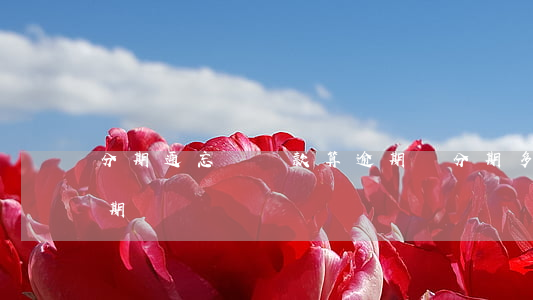分期通忘記還款算逾期嗎(分期多久不還算逾期)