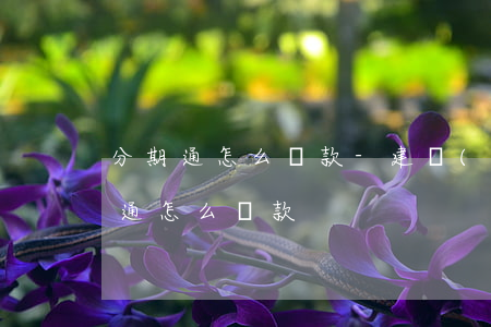 分期通怎么請款-建設(shè)銀行分期通怎么請款