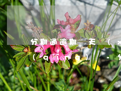 分期通逾期幾天現(xiàn)在還能申請(qǐng)嗎-分期通逾期幾天現(xiàn)在還能申請(qǐng)嗎