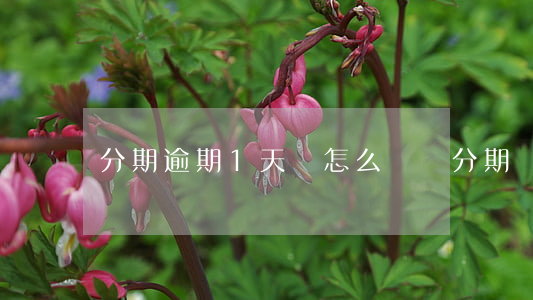分期逾期1天會怎么樣（貸分期還款逾期一天）