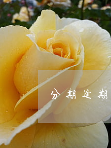 分期逾期2000會起訴嗎