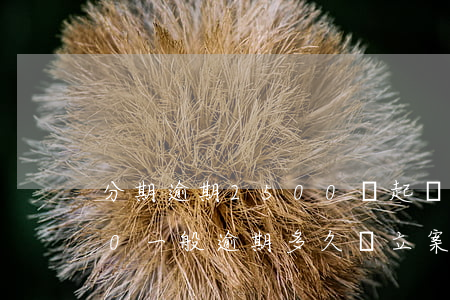 分期逾期2500會起訴 欠來分期35000一般逾期多久會立案