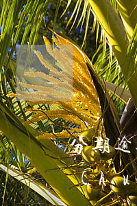 分期逾期一個(gè)月會(huì)不會(huì)影響當(dāng)兵-分期逾期一個(gè)月會(huì)不會(huì)影響當(dāng)兵呢