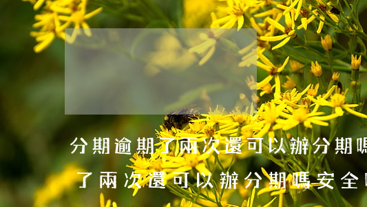 分期逾期了兩次還可以辦分期嗎-分期逾期了兩次還可以辦分期嗎安全嗎