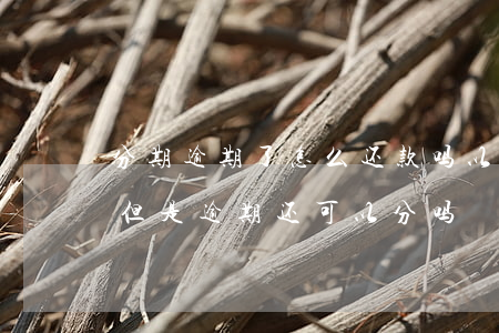分期逾期了怎么还款吗(以前分期付款还完了,但是逾期,还可以分吗)