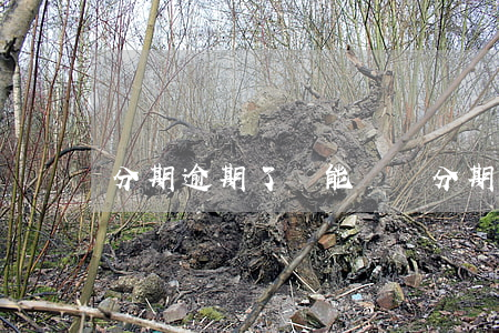 分期逾期了還能辦嗎(分期逾過期還可以分期嗎)