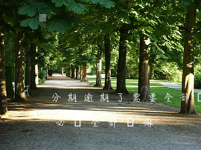 分期逾期了需要全部償還嗎（分期逾期起訴后必須全部還嘛）