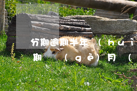 分期逾期半年會(huì)怎么樣(即分期逾期兩個(gè)月會(huì)怎么樣)