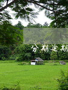 分期逾期客戶加微信