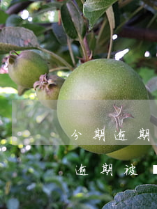 分期逾期律師發(fā)短信說要起訴（分期逾期被發(fā)律師函）