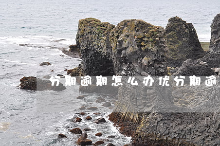 分期逾期怎么办（优分期逾期费用怎么计算）