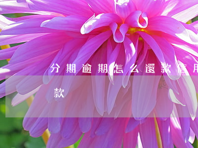 分期逾期怎么還款（信用卡逾期后如何分期還款）