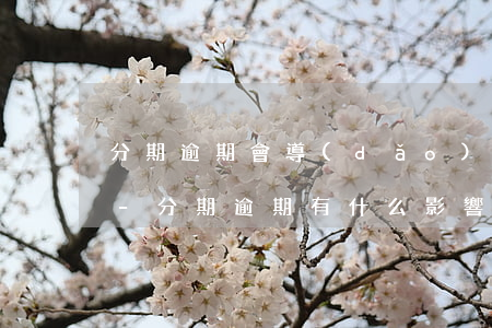 分期逾期會導(dǎo)致什么后果是什么-分期逾期有什么影響嗎