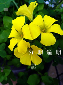 分期逾期沒還被起訴嗎-來分期逾期三年未起訴