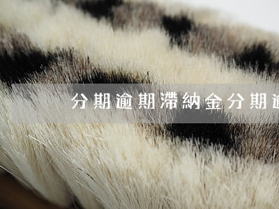 分期逾期滯納金(分期逾期滯納金是多少)