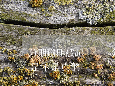 分期逾期被起訴嗎(來分期逾期兩千多說起訴是不是真的)