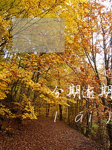 分期逾期被起訴會(huì)被判刑嗎 來(lái)分期逾期會(huì)被法院起訴嗎?