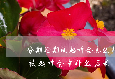 分期逾期被起诉会怎么样(好分期逾期多久会被起诉会有什么后果)