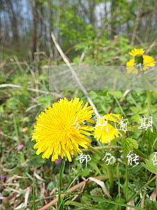 分期逾期被起诉再还钱(借款分期归还对逾期部分能否起诉)