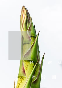 分期逾期要多久才能貸款(貸款逾期多久會取消分期)
