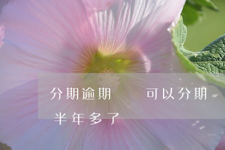 分期逾期過還可以分期買車嗎（本田分期逾期半年多了）