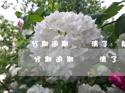 分期逾期過還清了還能坐飛機(jī)嗎-分期逾期過還清了還能坐飛機(jī)嗎現(xiàn)在