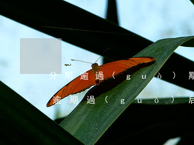 分期逾過(guò)期還可以分期嗎（信用卡逾期過(guò)后可不可以再分期）