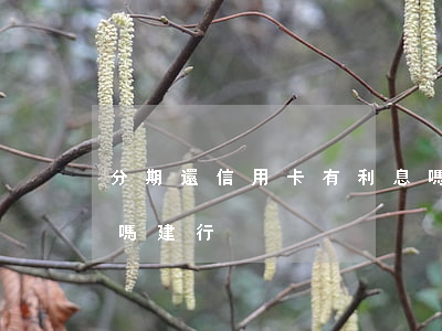 分期還信用卡有利息嗎(分期還信用卡有利息嗎建行)
